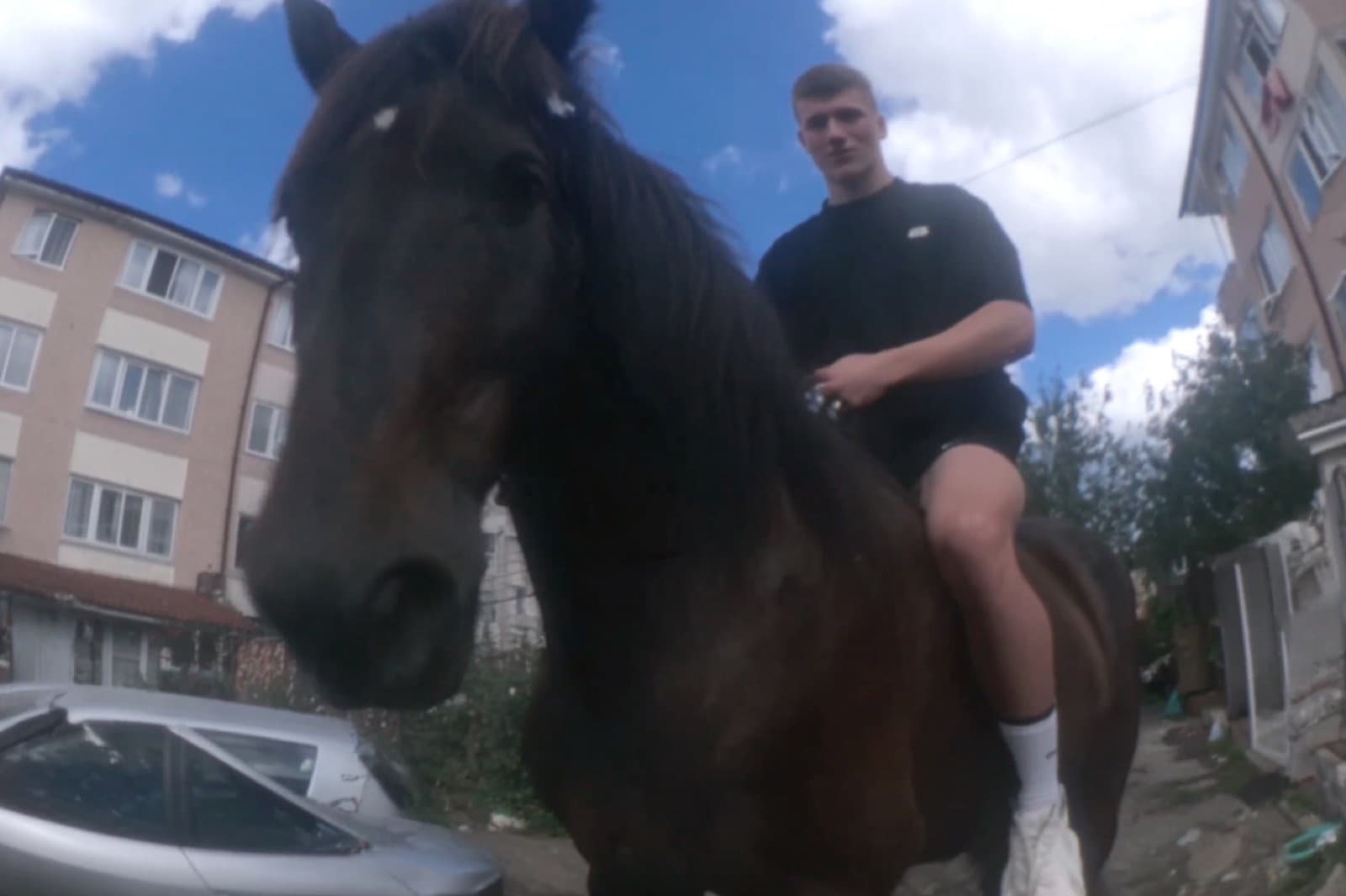 Stemningsbillede fra Sallys visuelle univers